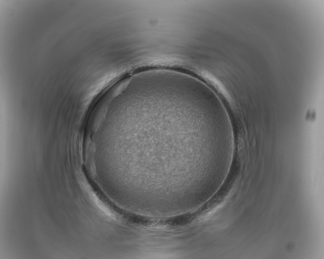 X0000092070581200709191205