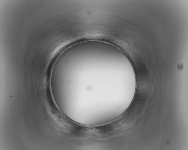 X0000092070583200709191205
