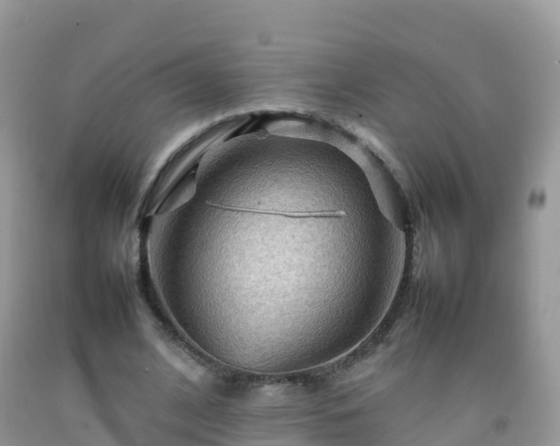 X0000092070584200709191205