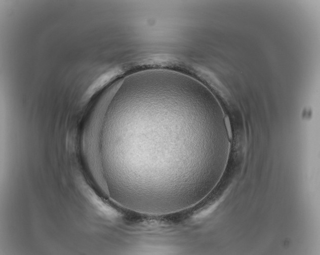X0000092070585200709191205