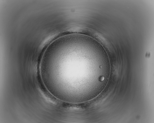 X0000092070586200709191205