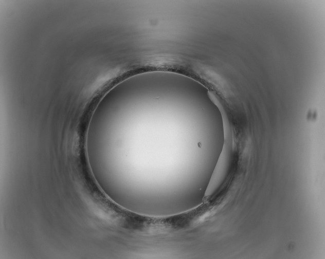 X0000092070587200709191205