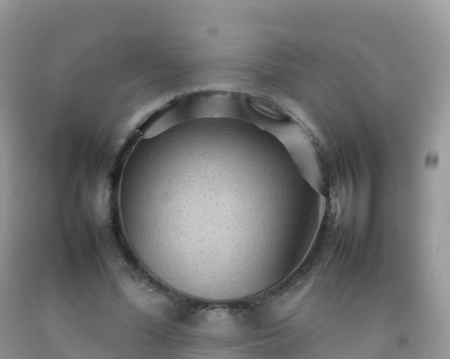 X0000092070588200709191205