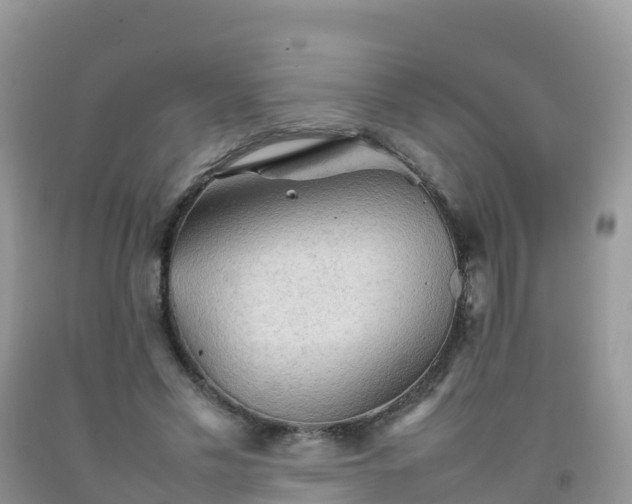 X0000092070589200709191205