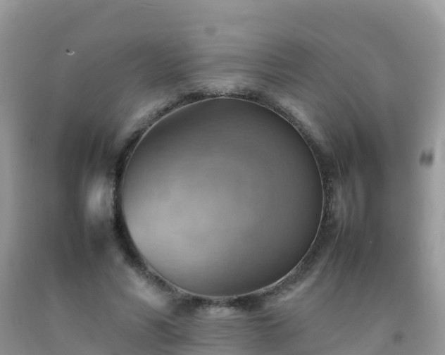 X0000092070590200709191205