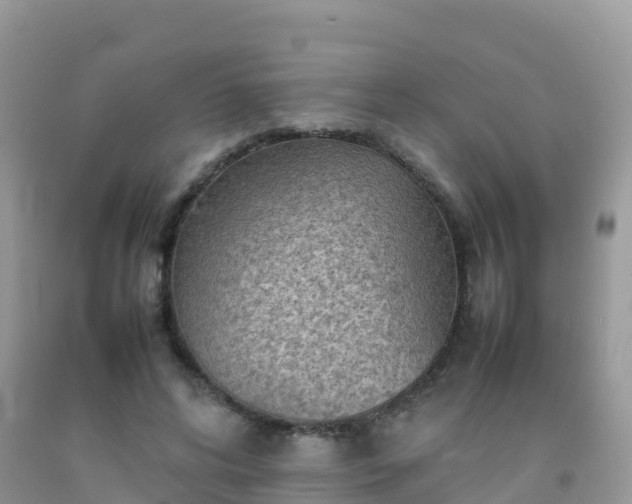 X0000092070592200709191205