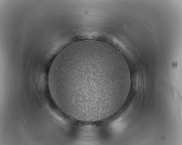 X0000092070594200709191205