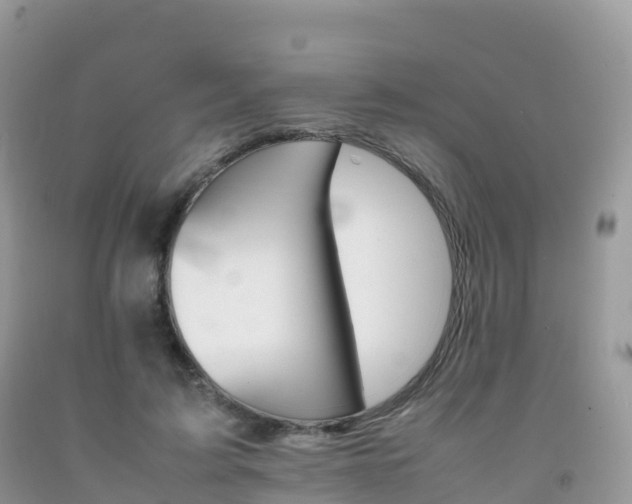 X0000092070595200709191205