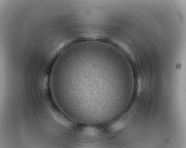 X0000092070596200709191205