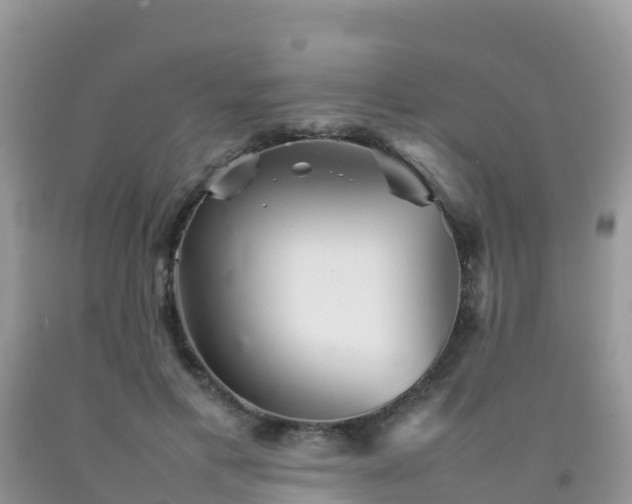 X0000092070597200709191205