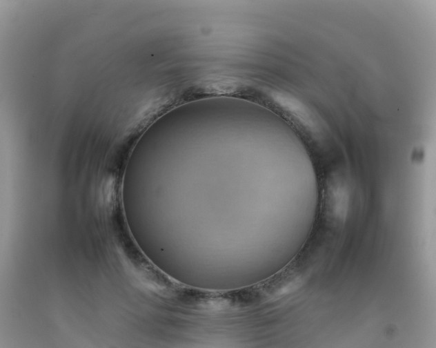 X0000092070598200709191205