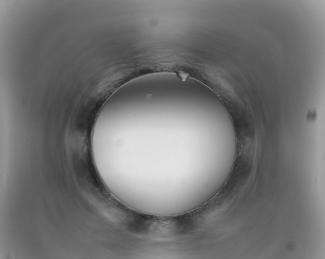 X0000092070599200709191205