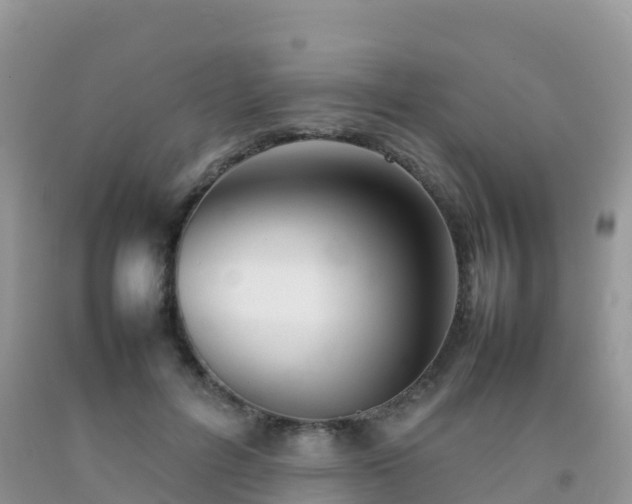 X0000092070600200709191205