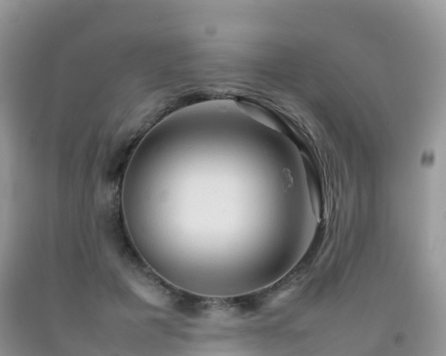 X0000092070601200709191205