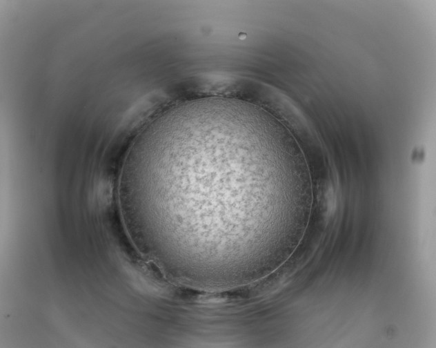 X0000092070602200709191205