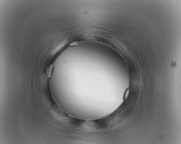 X0000092070603200709191205