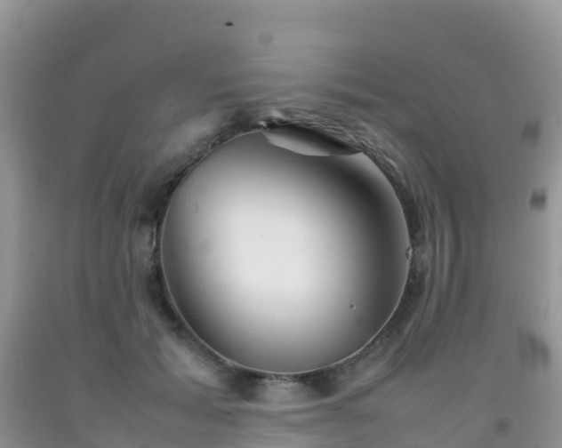 X0000092070605200709191205