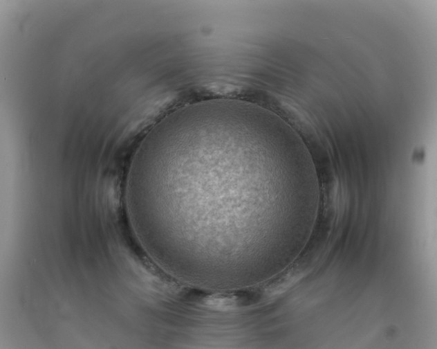 X0000092070606200709191205