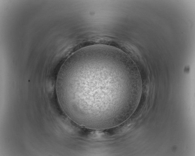 X0000092070607200709191205