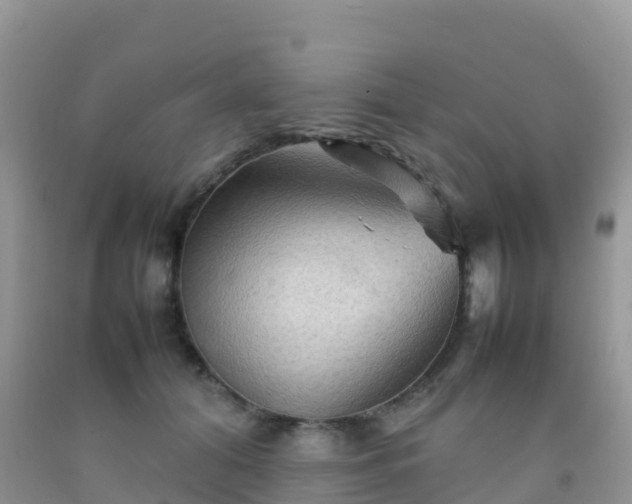 X0000092070608200709191205
