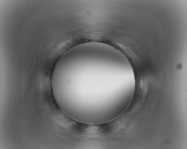 X0000092070609200709191205