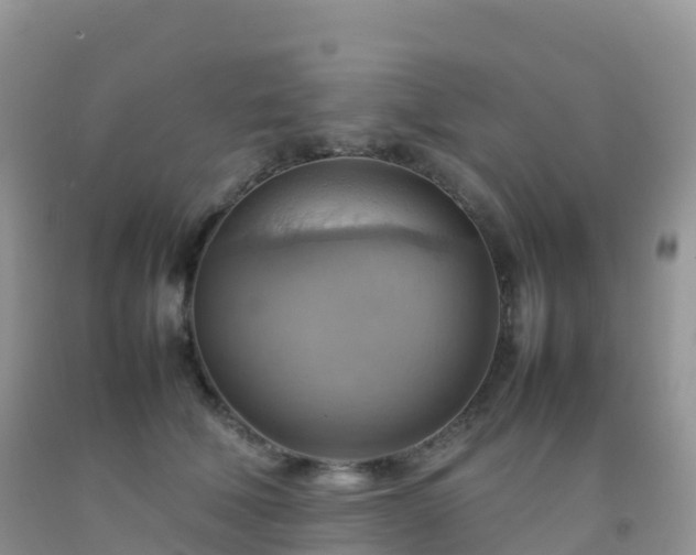 X0000092070610200709191205