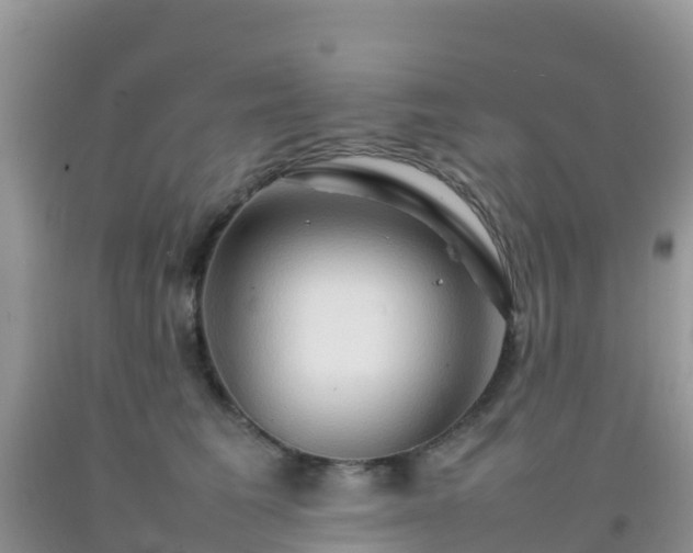 X0000092070613200709191205