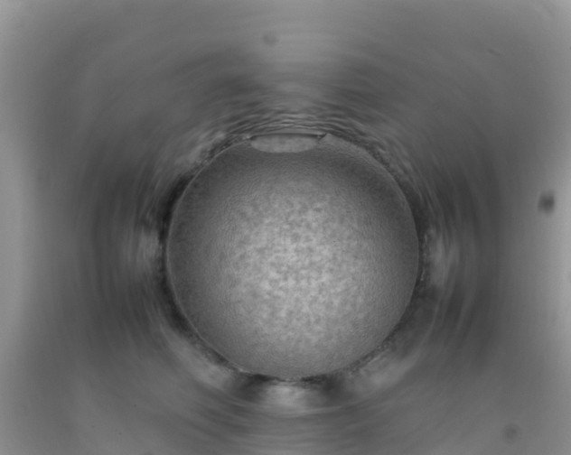 X0000092070614200709191205
