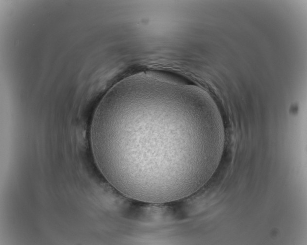 X0000092070615200709191205