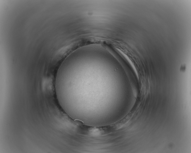 X0000092070616200709191205
