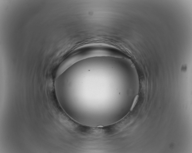 X0000092070617200709191205