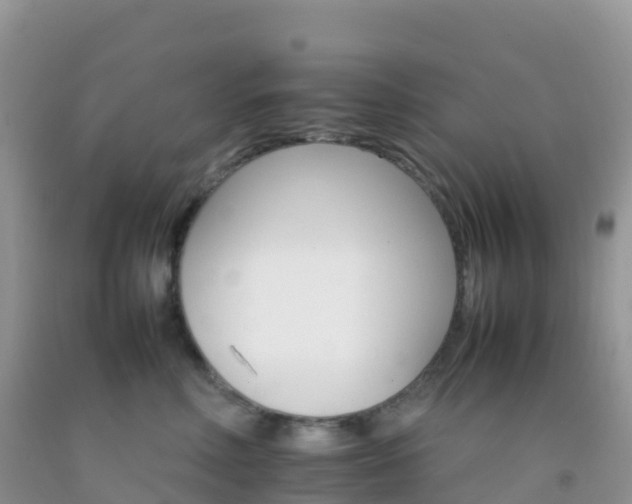 X0000092070618200709191205