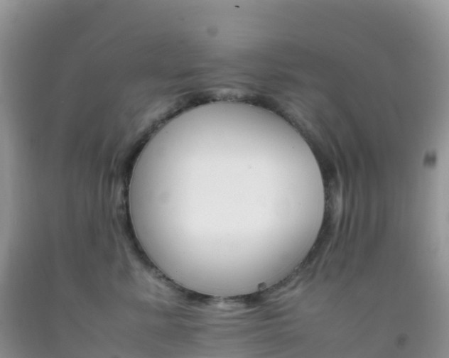 X0000092070619200709191205