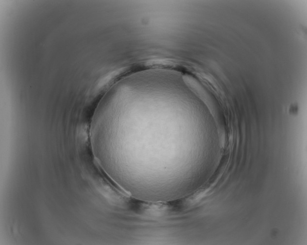 X0000092070621200709191205