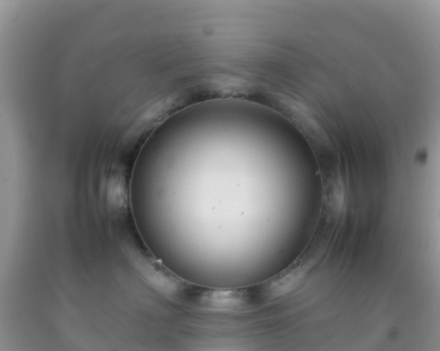 X0000092070622200709191205