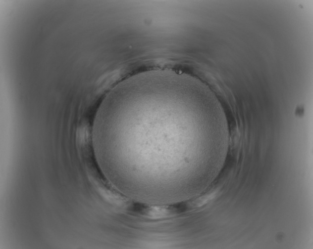 X0000092070623200709191205