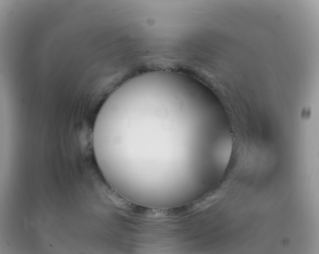 X0000092070624200709191205