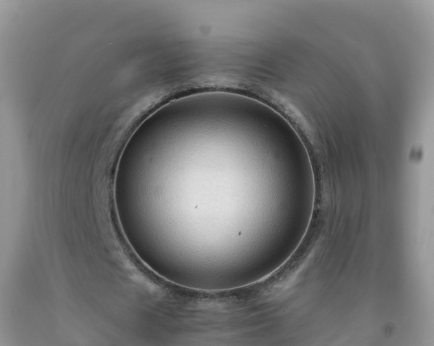 X0000092070625200709191204