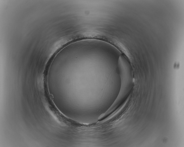 X0000092070626200709191204