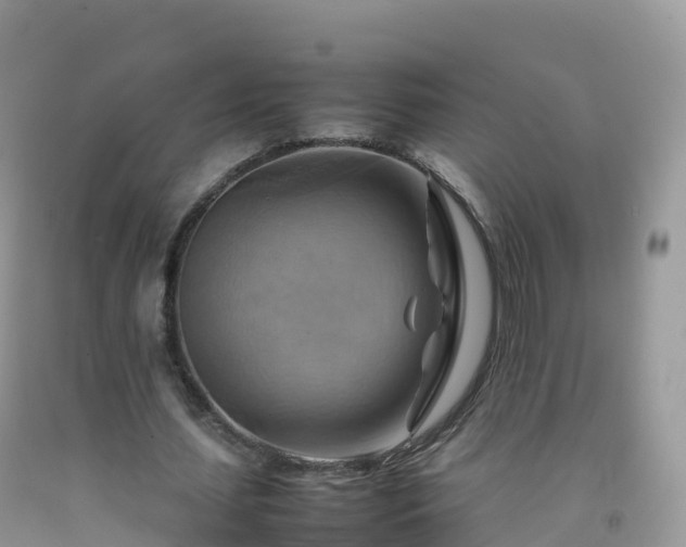 X0000092070627200709191204