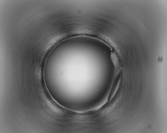 X0000092070629200709191204