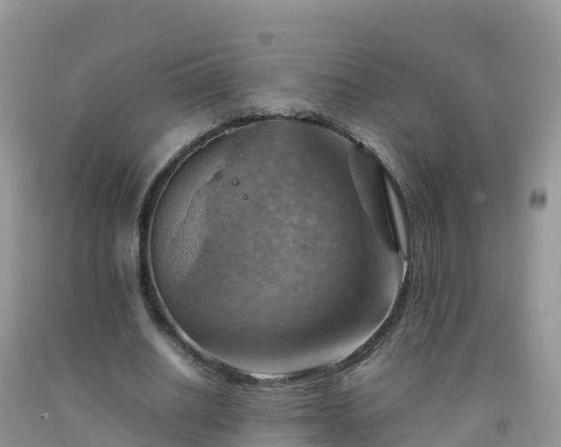 X0000092070630200709191204