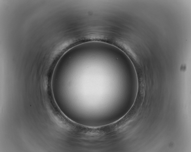X0000092070631200709191204