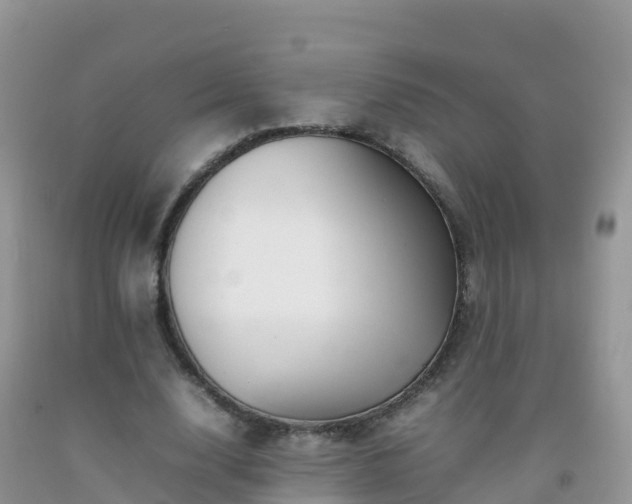 X0000092070632200709191204
