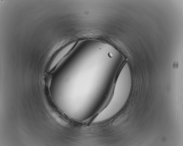 X0000092070634200709191204