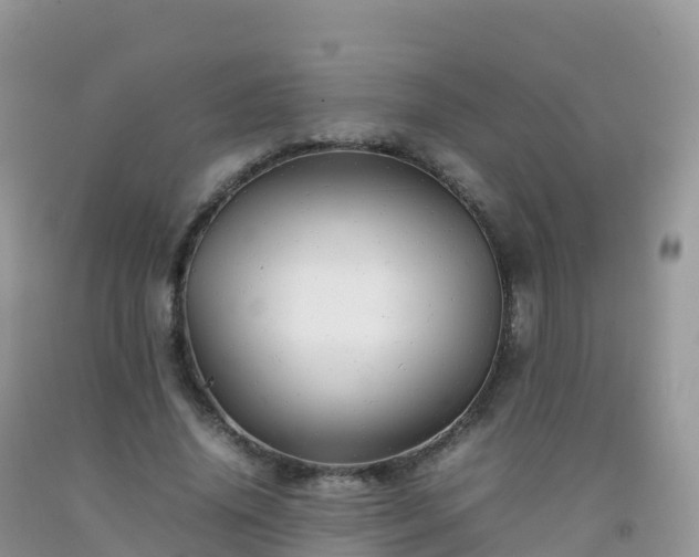X0000092070636200709191204