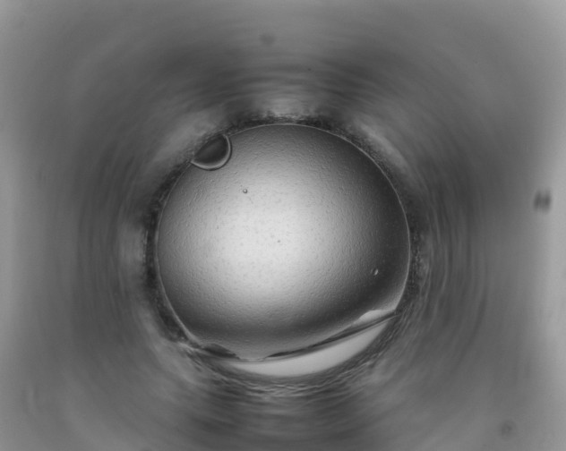 X0000092070639200709191204
