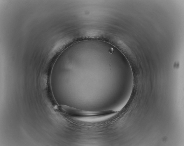 X0000092070640200709191204