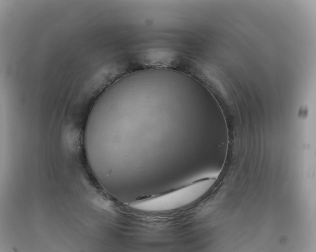 X0000092070641200709191204