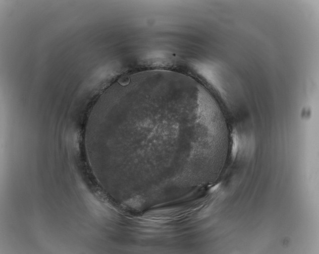X0000092070643200709191204